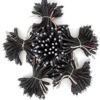 Guirlandes lumineuses LED RGB DC12V à prix de gros, étanches IP68, en PVC, pour aménagement paysager extérieur, éclairage de façade à points de pixels