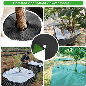 Tapis carré en tissu non tissé PP biodégradable de haute qualité 0,8 m * 0,8 m, coupe pour l'agriculture, le verger, couverture anti-<span class=keywords><strong>mauvaises</strong></span> <span class=keywords><strong>herbes</strong></span> - Product Image 2