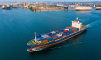 Transport maritime international de haute qualité, service de stockage gratuit, agent transitaire Chine vers Mali, Dakar, Gabon, Algérie