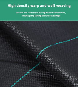 <span class=keywords><strong>Rouleau</strong></span> de tapis de mauvaises herbes <span class=keywords><strong>en</strong></span> tissu UV de stabilisation Couvre-sol agricole Pépinière Membrane de contrôle des mauvaises herbes Tapis de mauvaises herbes tissé <span class=keywords><strong>en</strong></span> PP noir - Product Image 5