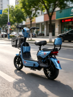 Vélo électrique urbain à deux roues pour adultes avec moteur à moyeu arrière, cadre en acier à haute teneur en carbone, batterie 48V pour utilisation sur route urbaine, autonomie de 15 à 25 km