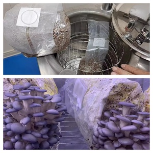 Máy khử trùng nồi hấp hơi 30/40/50/75/100/200L cho nấm hoàn toàn tự động - Product Image 2