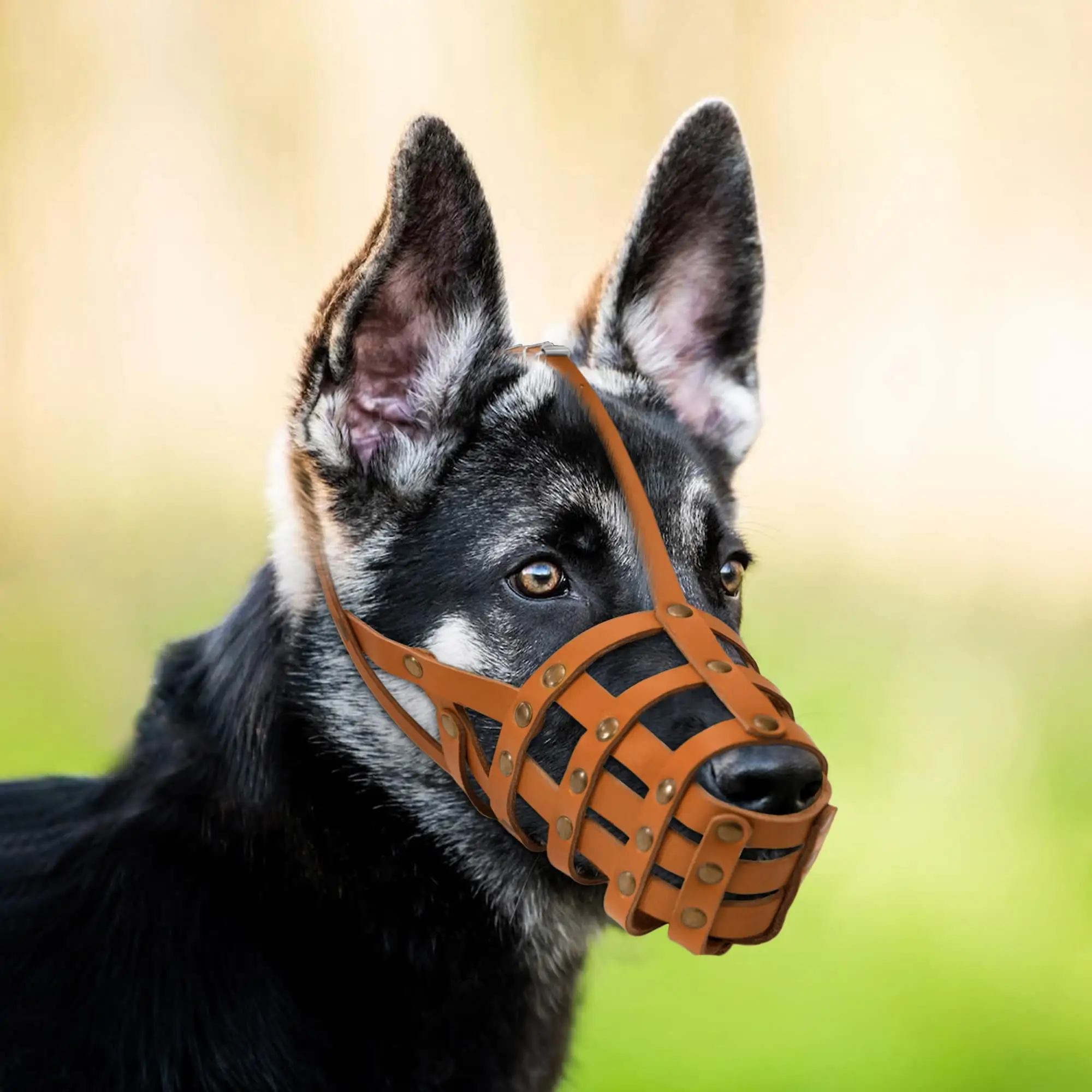 Prevent biting and barking of dogs Leather Dog Muzzle Adjustable Breathable Mesh Dog Muzzle