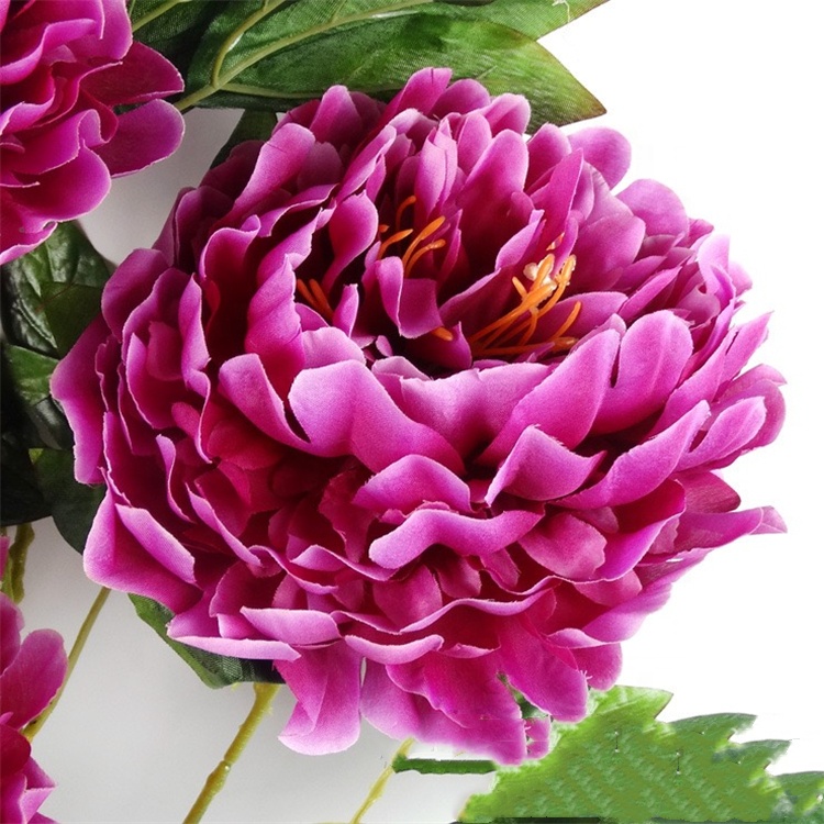 アンティーク雑貨 peony1919 Floral Street Wonderland Peony Eau De Parfum 1.7 oz/ 50 ml