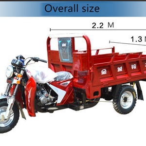 Nuevo Estilo de Triciclo de 300cc para Pasajeros y Carga, Motocicleta de Tres Ruedas de Gasolina - Product Image 5