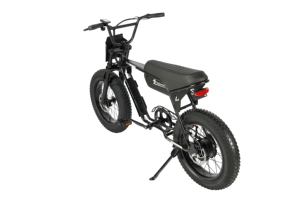 Bicicleta Eléctrica de Montaña en Stock en la UE, Llanta Gruesa de 20 Pulgadas, Motor sin Escobillas de 750W, Freno de Disco Hidráulico, Cuadro de Aluminio, Bicicleta Eléctrica para Adultos - Product Image 3