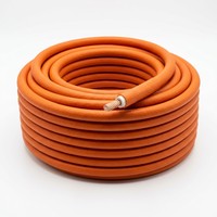 Cable Eléctrico Flexible de Cobre con Aislamiento Mineral, Resistente al Fuego, NG-A, 2 Núcleos, 0.6/1kV, para Proyectos de Construcción y Seguridad contra Incendios