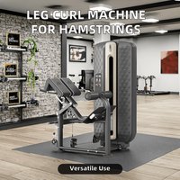 Machine d'extension dorsale avec pile de poids sélectionnable et réglable, pour le renforcement du bas du dos, équipement de fitness commercial pour salle de sport