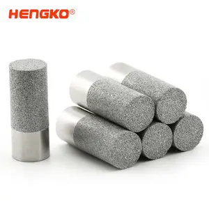 HENGKO Custom Stainless Steel sensor protective cover Probe for Temperature Humidity sensor transmitter