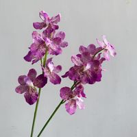 Anggrek Dendrobium Tekstur Sutra Melembapkan Seperti Sentuhan Asli, Bunga Sutra 3D Print untuk Dekorasi Ruang Tamu Rumah