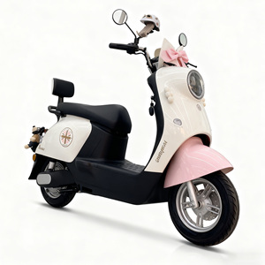 Mini scooter moto Turtle 60V 800W, modèle sport à deux roues avec vitesse de 61-80 km/h, phares LED et dispositif antivol, électrique - Product Image 2