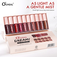 Ensemble de 10 gloss à lèvres mats, mini, portable, léger, longue tenue, cosmétiques OEM en gros