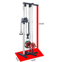 Dinuo Home Utilisation de la force de la machine à câble murale Lat Pull Down Trainer Système de double poulie Station de câble chargée par plaque