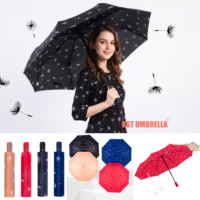 Parapluie pliant automatique pour femme avec impression de pissenlit RST, nouveau parapluie de pluie pliable
