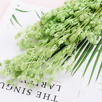 Coffret Cadeau de Fleurs Éternelles pour Amateurs de Fleurs : Petite Boîte de Conservation de Céleri Épineux avec Fleurs pour la Décoration Intérieure et les Occasions de Remise de Diplôme