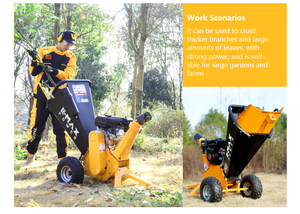 Prezzo all'ingrosso OEM/ODM Supportable Tree Shredder Garden Homeuse Wood cippatrice Farm Mini Branch Mulcher Shredder in vendita - Product Image 2