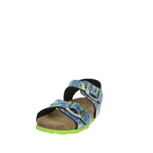 Sandalias para niños Grunland SB1149-40 Sandalias planas con estampado de dinosaurios azules para niños - Product Image 5