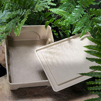 Emballage personnalisé haut de gamme en boîte de papier recyclé, compostable, écologique et biodégradable, pour produits ménagers moulés, portable, en soie