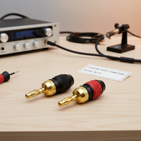 Connecteurs de câble de haut-parleur Hi-Fi RASANTEK plaqués or BFA 4 mm, CC-005, certifiés CE ROHS FCC, audio supérieur, en vrac, OEM/ODM