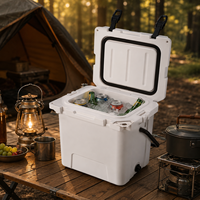Glacière portable d'extérieur robuste en plastique rotomoulé de 20 L, étanche et isolée, avec poignée – Vente en gros