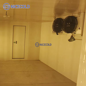 Chambre froide vitrée transparente pour présentation de bières et congélateur pour supermarchés et fleuristes - Product Image 2