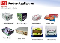 Boîte en plastique ondulé creux en PP, matériaux recyclés, pour l'emballage des fruits et légumes, agriculture, taille personnalisée disponible