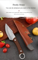 Buitenkeuken Fruit Schilmes 10cm Roestvrijstalen Lemmet Gesmeed Ambidexter Hoogglans Afwerking Hout Modern Eenvoudig Design