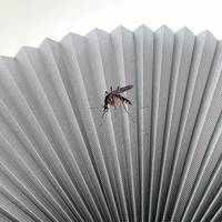 Moustiquaire rétractable 2026 pour fenêtre et porte, enroulable, avec profilé en aluminium, plissée, anti-insectes