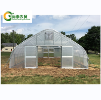 Tunnel PE à travée unique agricole de petite serre commerciale de haute qualité facilement installé pour la culture de légumes