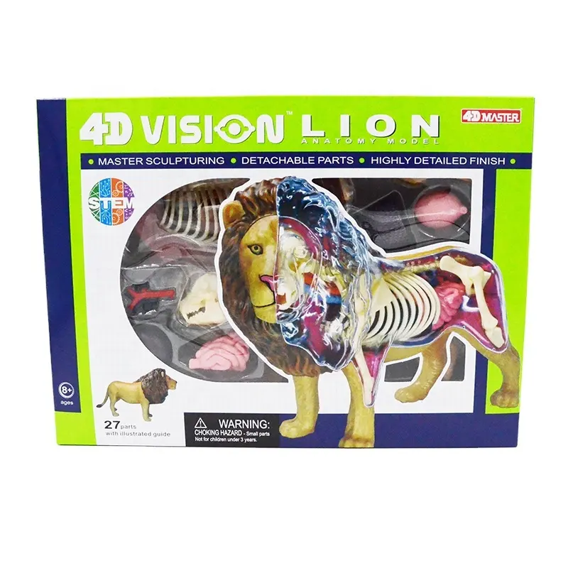 Lion Assembled Toy Lio Anatomical Model Animal Skeleton Beast Anatomy Zoo Demonstration DIY Educational Teaching Gift 4D MASTER