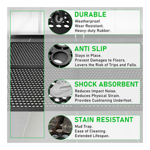 Tapetes Personalizados para Puerta Principal, Tapetes para Puerta de Casa, Tapetes de Primavera, Lindos Tapetes de Goma Negra para Exteriores - Product Image 4