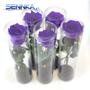 Vente en gros d'arrangements de fleurs séchées roses conservées <span class=keywords><strong>Bouquet</strong></span> de fleurs avec longue tige - Product Image 2