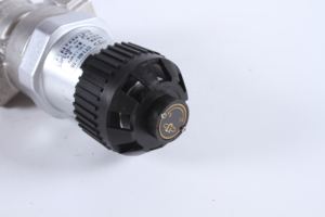 Buhar basınç regülatörü paslanmaz çelik gövde ile - Product Image 4