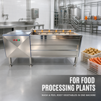 Industriële borstelrolreinigingsmachine voor het wassen en schillen van aardappelen, wortelen, cassave en zoete aardappelen, commercieel gebruik.
