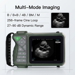 Échographe vétérinaire portable robuste Dawei pour diagnostic de gestation multi-animaux avec 4 Go de mémoire – Vente en gros usine - Product Image 4