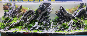 <span class=keywords><strong>Pierre</strong></span> de Melaleuca pour <span class=keywords><strong>aquarium</strong></span> Live Rock Gray - Product Image 6