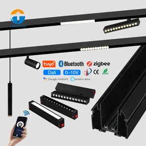 Modern Design Aluminum Profile Wifi Bluetooth Dimmable Tuya Dimming 220V Smart Magnet Track Lights Stretch Ceiling Magnetic Rail