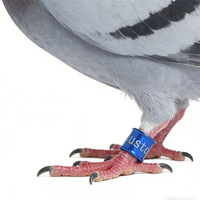 Bague de pied numérique classique en aluminium réutilisable pour oiseaux et pigeons, diamètre 8 mm, personnalisable NO.001-100