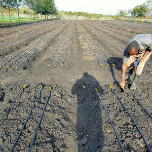 Agrcola Sistema Riego Por Goteo 16 мм Manguera Precio De Cinta De Riego Tubo De Rega Gota a Gota Cinta Por Goteo - Product Image 2