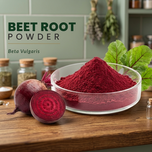 Natural Beet <b>Root</b> Powder Beta Vulgaris Herbal Extract Food Grade Fine Powder in Glass Container for Beverage and Nutrition - Product Image 3