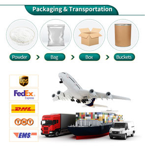 Высококачественные сушеные черные морчелла эскулента/морельные грибы на продажу - Product Image 2