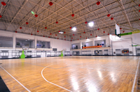 Diseño de Estructura de Acero Prefabricada para Cancha Deportiva con Dibujo Personalizado