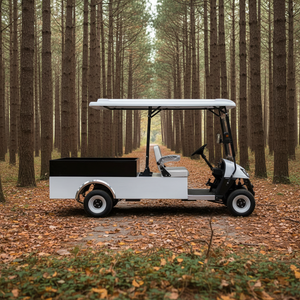 Carro Eléctrico Club Car 72V con Caja de Carga, Certificado DOT y EEC, 3-4 Asientos, Asientos Traseros Orientados hacia Adelante, Nuevo Diseño - Product Image 6