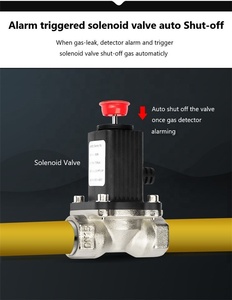 Van Điện Từ 12V DC Mở Nhà Bếp Cảnh Báo Khẩn Cấp Khí Đốt Trong Nước - Product Image 4