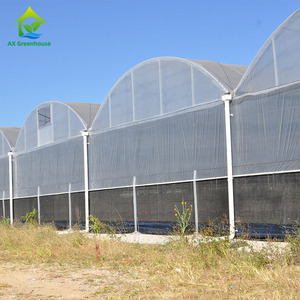 Moderna agricoltura agricola Multi-span pellicola di plastica automatizzata mirtillo Smart serra per la semina di pomodoro - Product Image 2