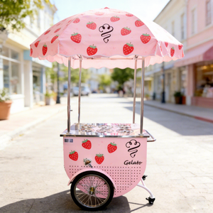 Carrito de Helados Portátil de Fibra de Vidrio y Acero Inoxidable, Personalizado para Parques, Playas, Festivales y Negocios de Comida - Product Image 1