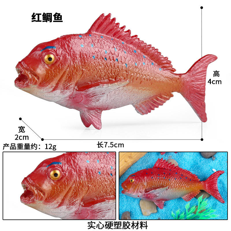 3039 Pargo rojo