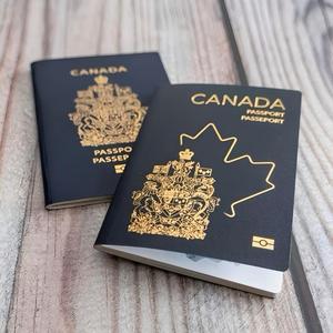 Passaporto Personalizzato per Campeggio Estivo, Libro Passaporto Personalizzabile per Bambini, Vendita all'Ingrosso - Product Image 4