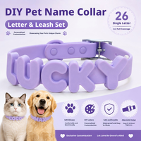 DIY Individuelles Haustier-Halsband mit Flauschigem 3D-Silikon-Buchstaben-Namensanhänger, PVC-Halsband mit Herz-Blumen-Design, Leinenset für Hund und Katze