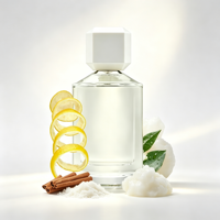 Parfum en spray élégant et haut de gamme aux notes d'agrumes, d'ambre et de bois, longue tenue, unisexe, parfum de créateur en marque blanche, vente en gros